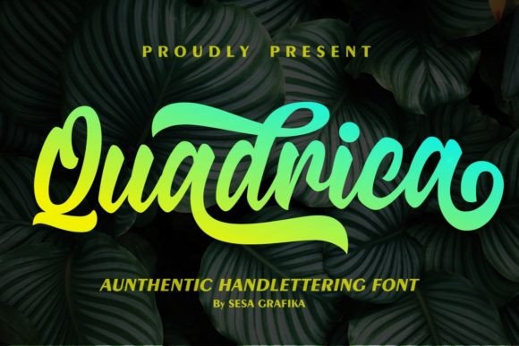 Quadrica: A Retro Script Font for Modern Branding